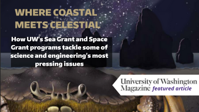 Where Coastal Meets Celestial